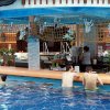 dsc06499