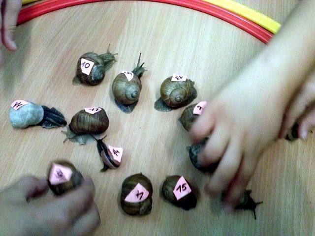 cam00675